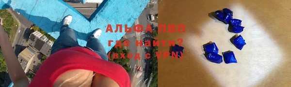 гидра Алексеевка