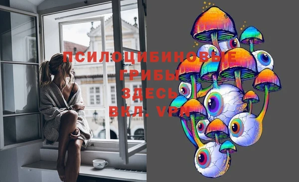 бутират Алексин