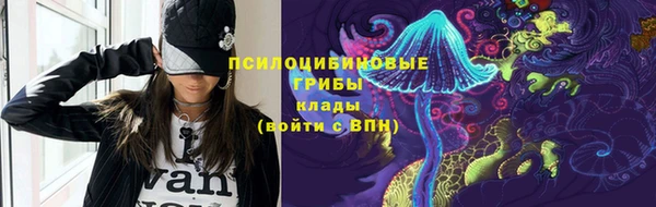 гидра Алексеевка