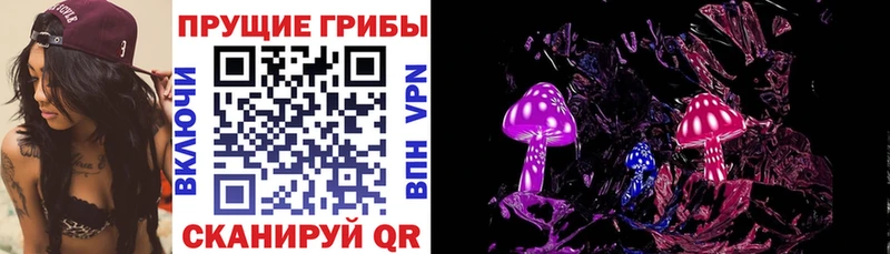 Псилоцибиновые грибы Psilocybe  наркошоп  Липки 